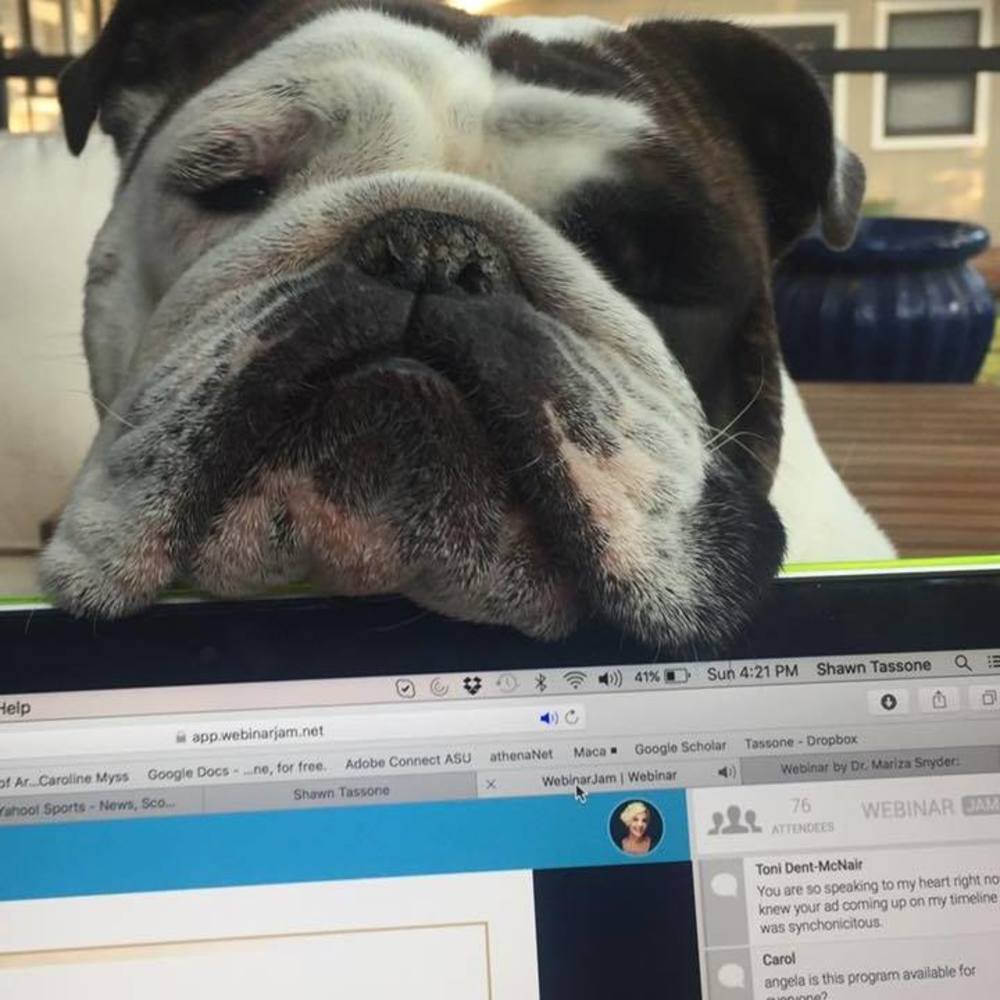 Meet your Posher, Shawn